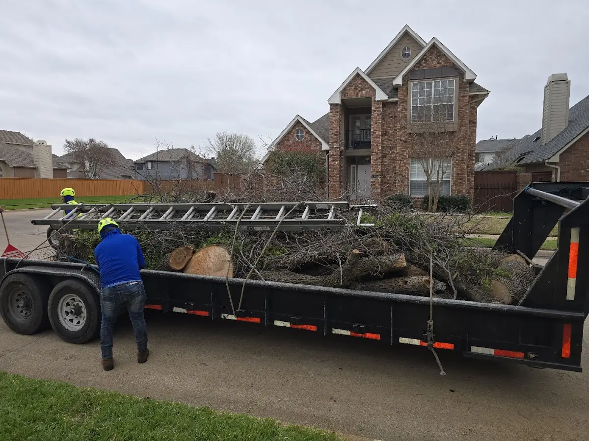 Expert Lot Clearing with proper safety equipment in Hagerman
